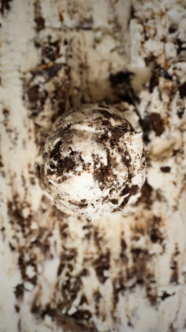Scoop of Cookies 'N Cream ice cream